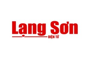 logo-bao-lang-son-dien-tu-upmed